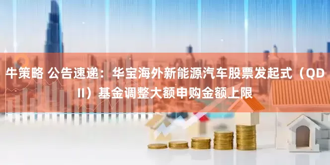 牛策略 公告速递：华宝海外新能源汽车股票发起式（QDII）基金调整大额申购金额上限