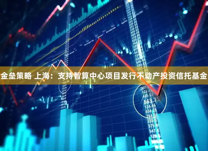 金垒策略 上海：支持智算中心项目发行不动产投资信托基金