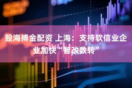 股海搏金配资 上海：支持软信业企业加快“智改数转”