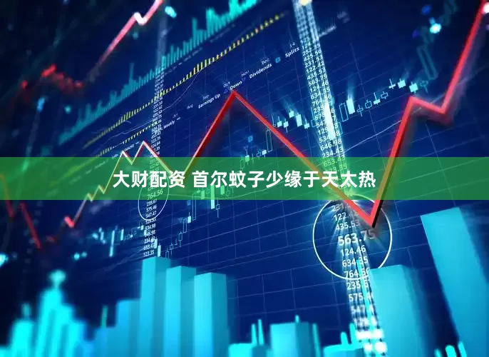 大财配资 首尔蚊子少　缘于天太热