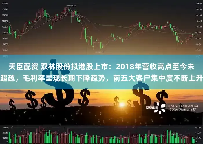 天臣配资 双林股份拟港股上市：2018年营收高点至今未超越，毛利率呈现长期下降趋势，前五大客户集中度不断上升
