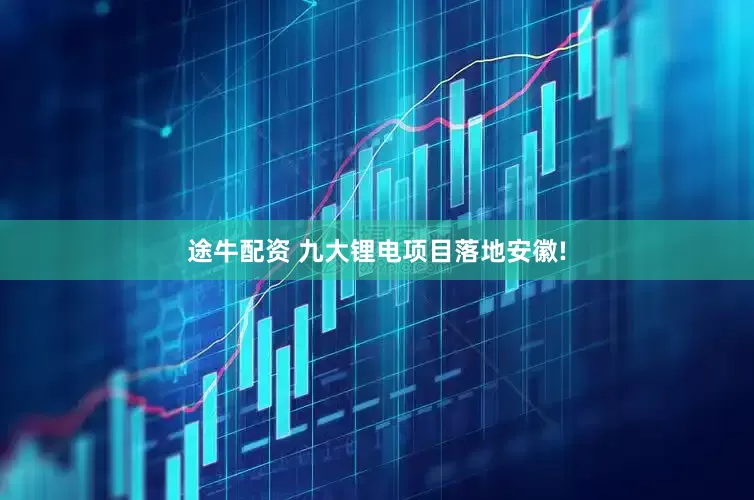 途牛配资 九大锂电项目落地安徽!