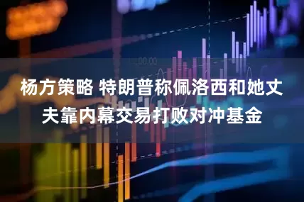 杨方策略 特朗普称佩洛西和她丈夫靠内幕交易打败对冲基金